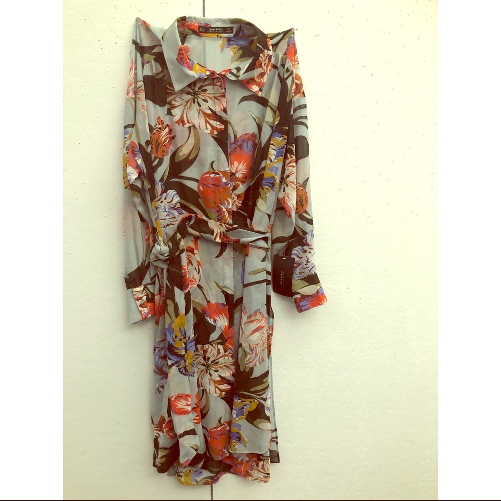 Shirt dress style in fabulous sheer